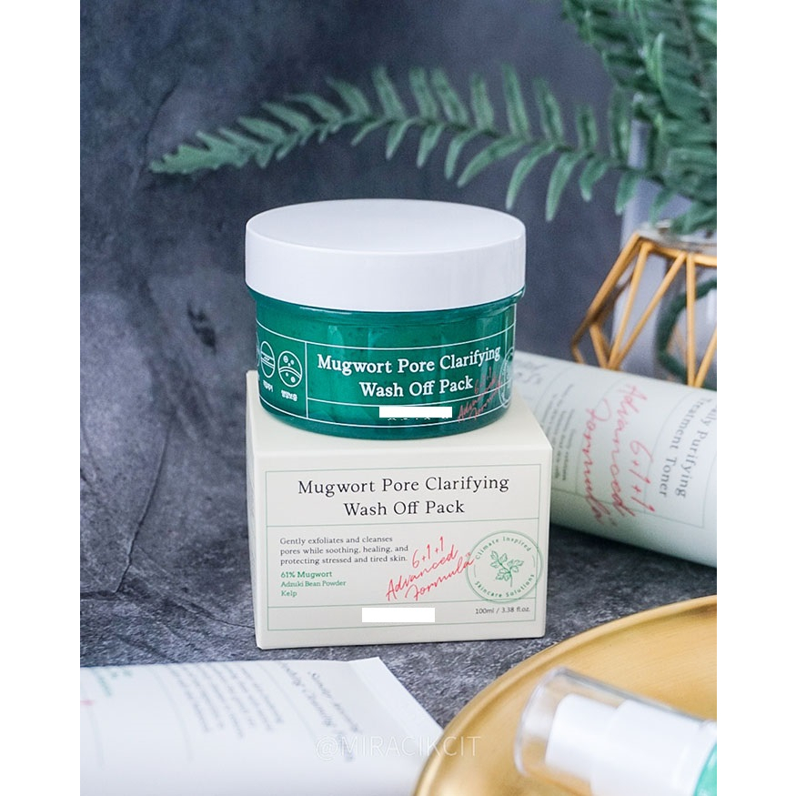 Mugwort Pore Clarifying Wash Off Pack 100ml