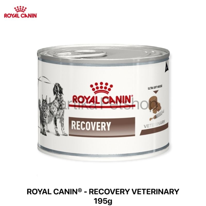 ROYAL CANIN - RECOVERY