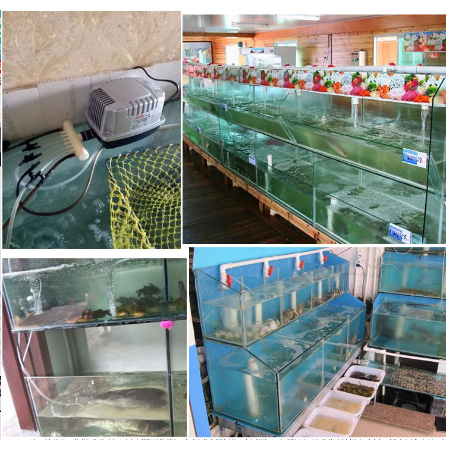 Jebo P30 Aerator kolam ikan pompa udara pompa oksigen kolam aerator aquarium P 30 P-30