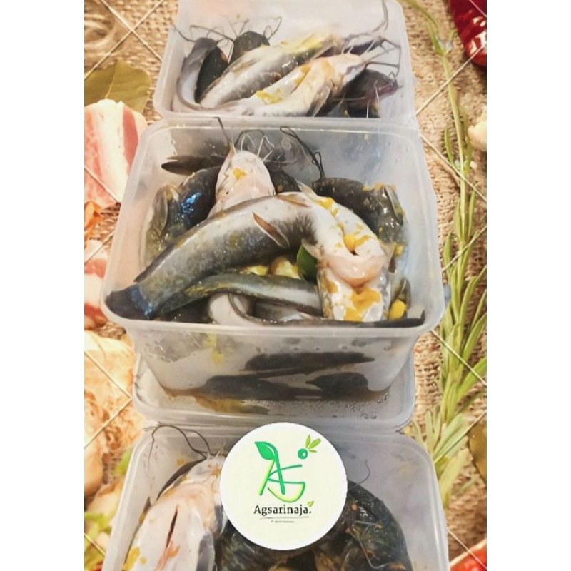 

Lele bumbu Akuaponik ( Le - Mbu )