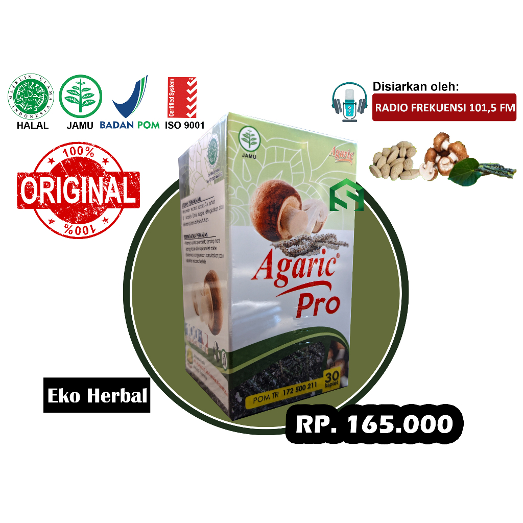 Agaric pro Herbal kencing manis