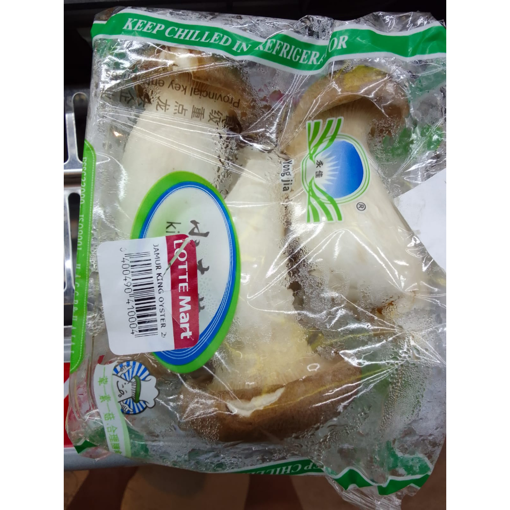 

JAMUR BABY KING OYSTER 200 GRAM