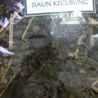 

HERBAL TERBAIK DAUN KECUBUNG KERING/DATURA METEL-500 GRAM