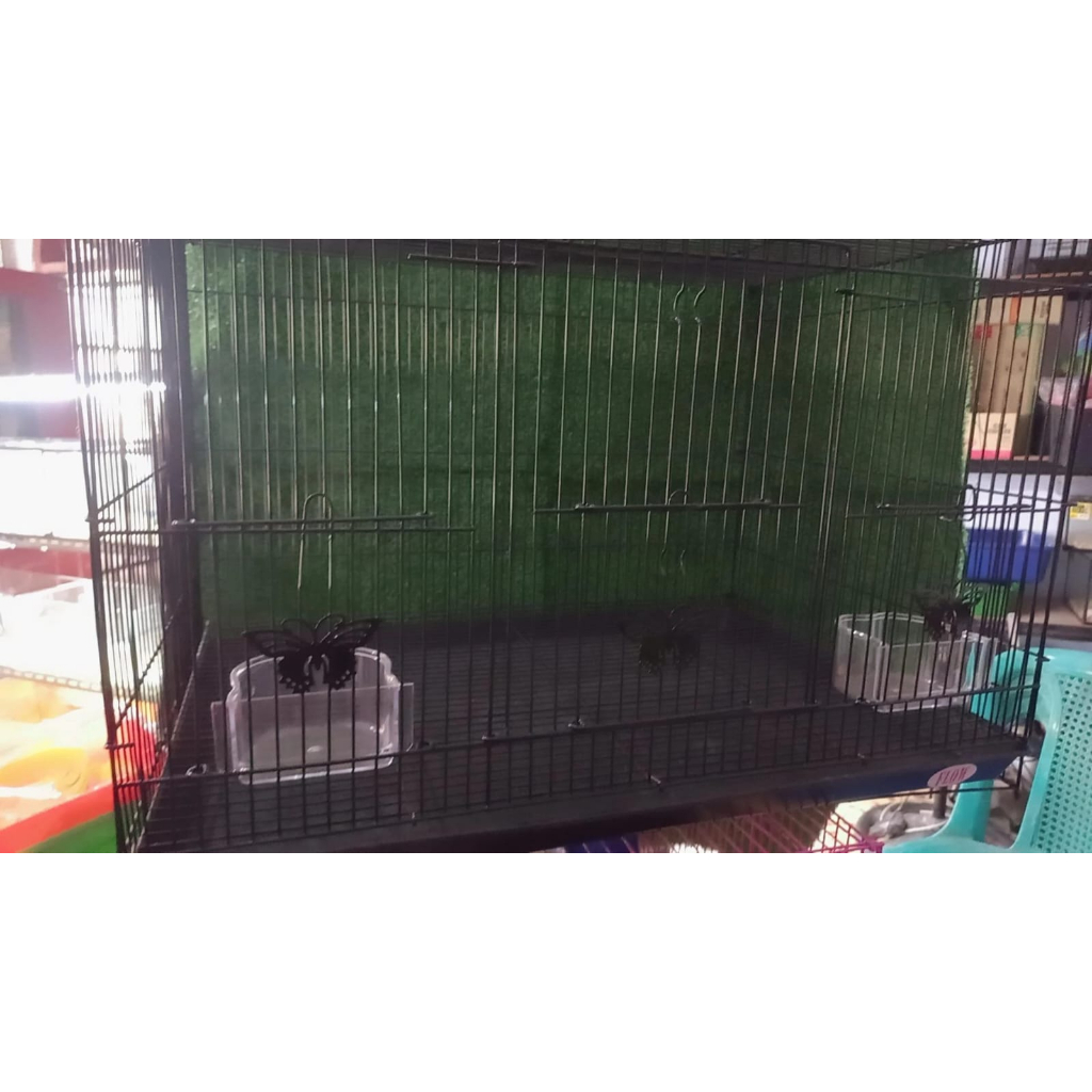 Kandang Burung Kucing Anjing SugarGlider kotak butterfly 60x40x40