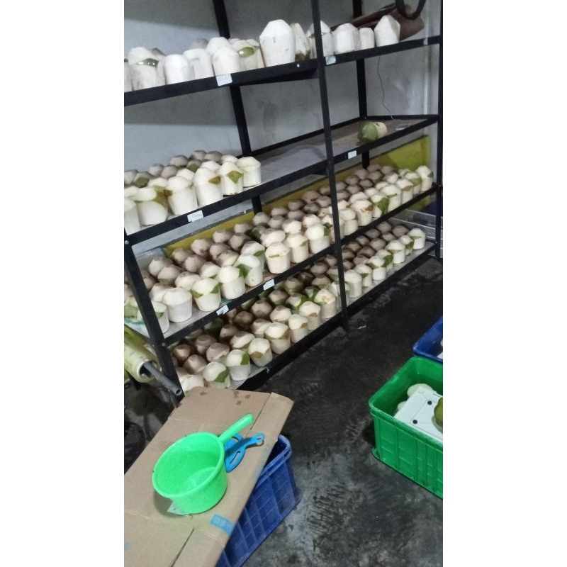 

kelapa kupas diamond