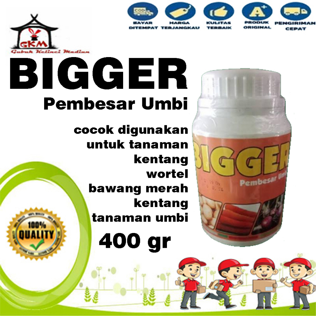 Bigger 400 Gram Booster Umbi