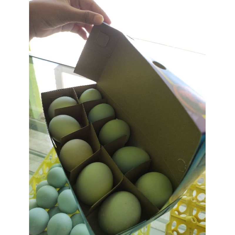 

Telur asin premium masir