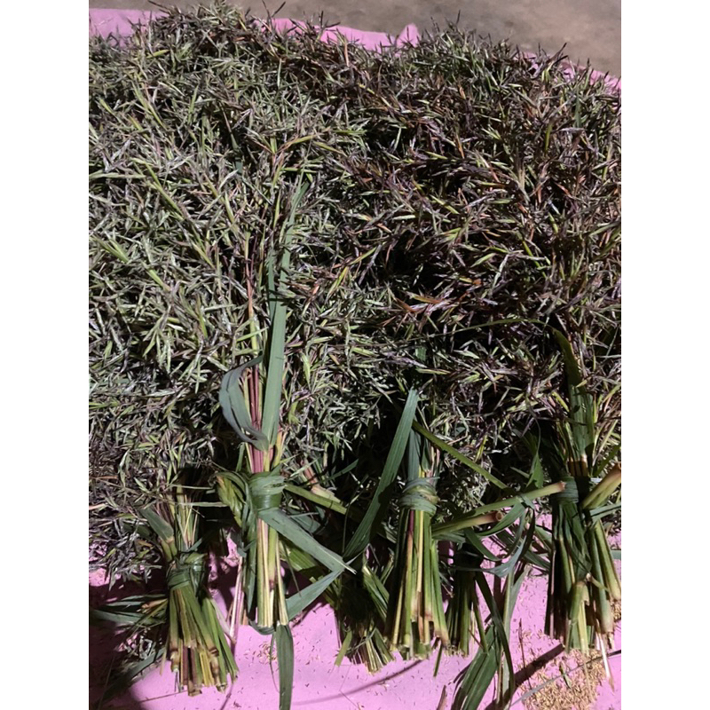 

Bunga serai wangi bunga sereh wangi per 1 ikat 25 helai