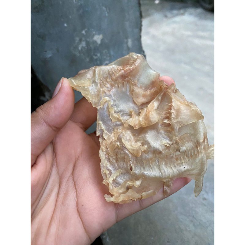 

Perut Ikan / Hepio / Hipio/ Gelembus ikan Baung 250 gram