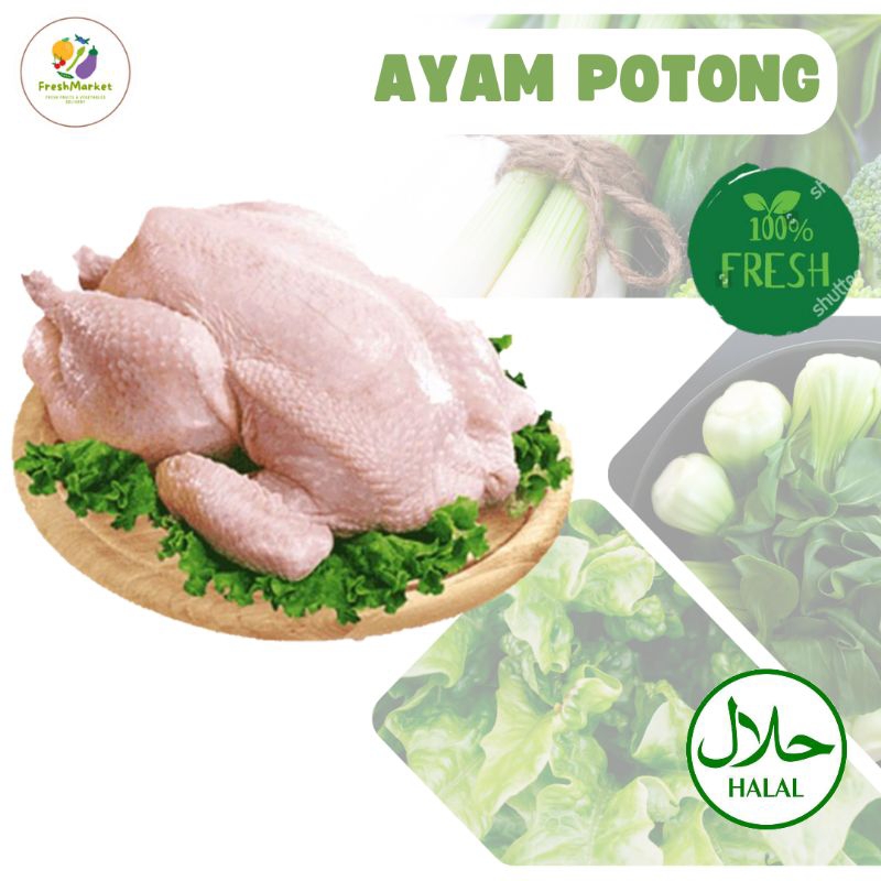 

Ayam Potong Daging Ayam Boiler Segar 1 Ekor Freshmarketlampung