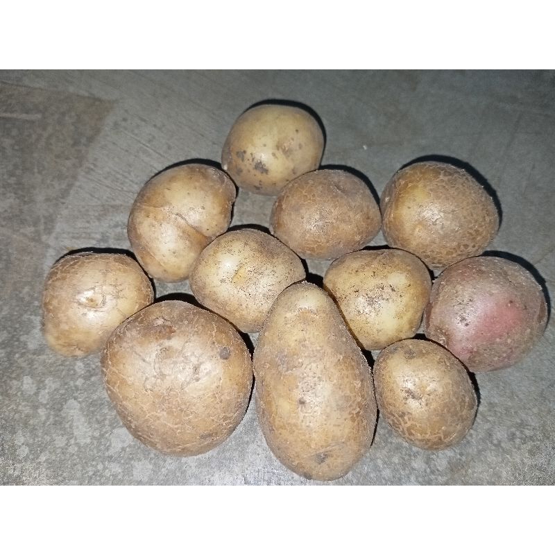 

baby potato 500g