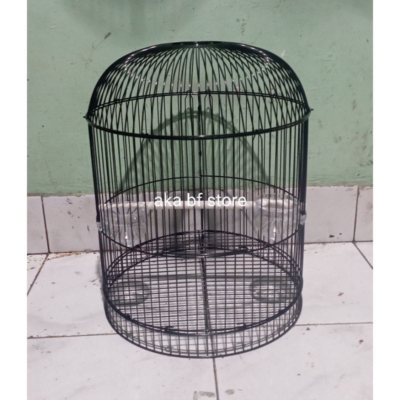 ruji sangkar burung lovebird 3/4 dragon