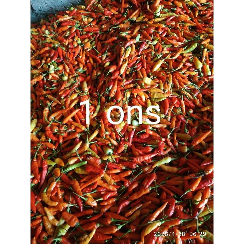 

cabe merah, cabe rawit, cabe pedas