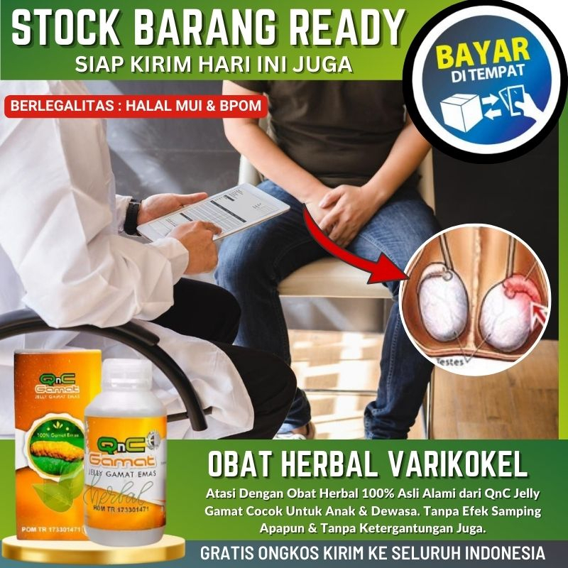 Obat Tradisional Varikokel Pria, Obat Nyeri Testis Sebelah, Buah Zakar Pria Bengkak, Obat Penis Beng