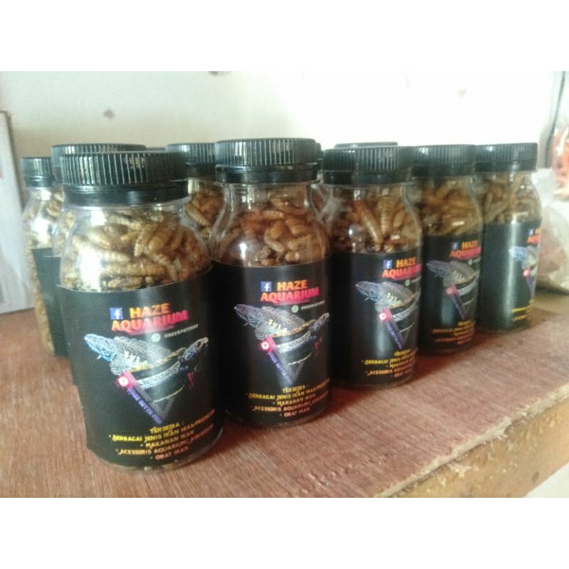 Manggot Kering isi 25gram (Pakan ikan Channa/predator fish)