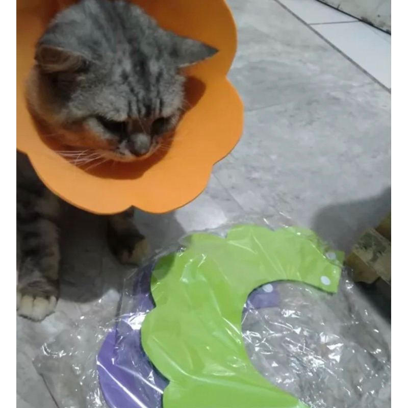 Pet Collar Bunga SPONS EVA | Kerah Corong Pelindung Kucing Anjing Kelinci