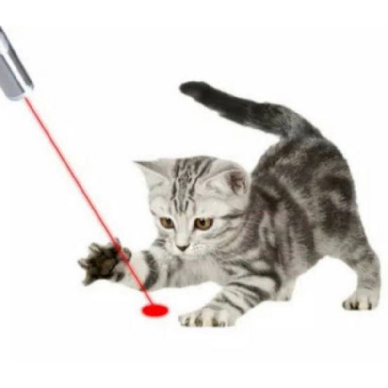 MAINAN 2 in 1 LASER LAMPU SENTER POINTER KUCING CAT TOYS