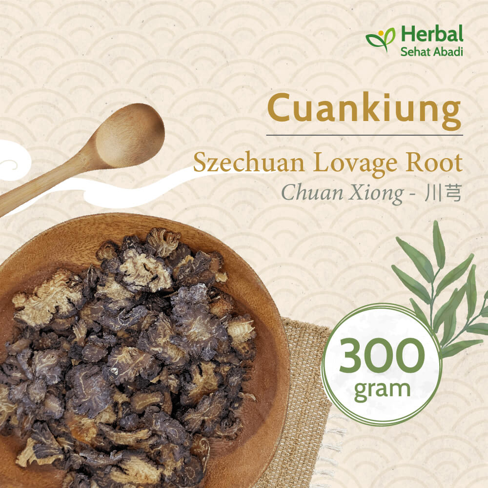

Chuan Xiong (川芎) 300 gram / Chuan kiong / Sichuan Lovage Rhizome