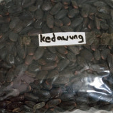 

TERMURAH BIJI KEDAUNG/KEDAWUNG /PEUNDEUY 500 GRAM