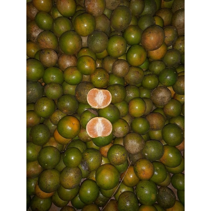 

Jeruk Manis | Keprok Madu Tulungagung | Tinggi Vitamin C