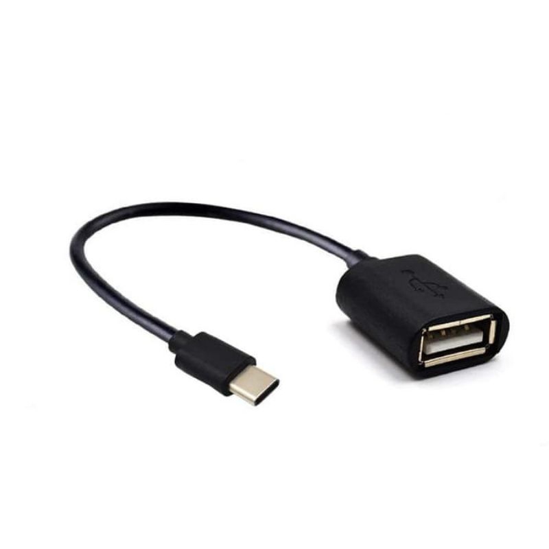 otg sambungan USB plasdisk otg hp