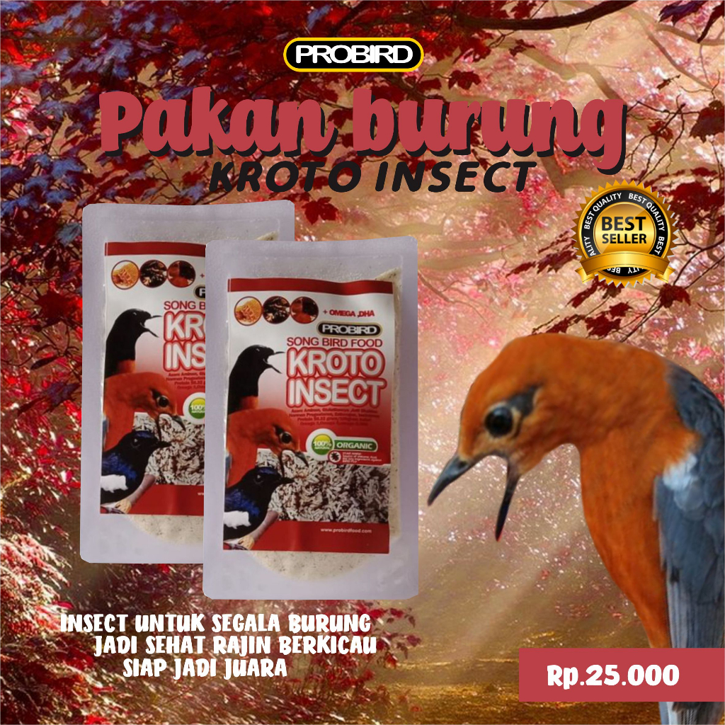KROTO INSECT PAKAN BURUNG KROTO KERING ALAMI BIKIN CEPAT GACOR BURUNG