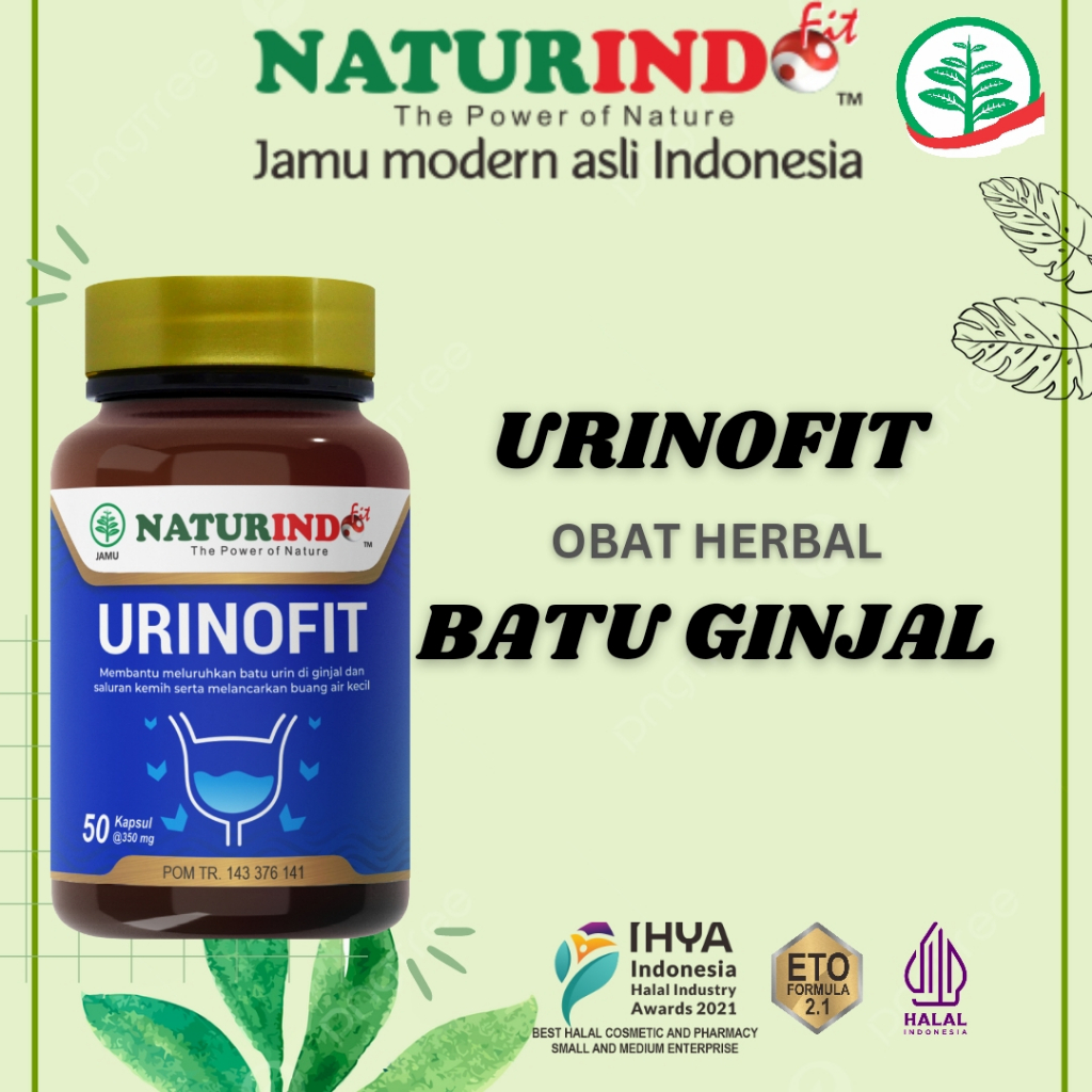 

OBAT HERBAL URINOFIT, UNTUK PENDERITA GINJAL BATU GINJAL KENCING BATU SERING PIPIS