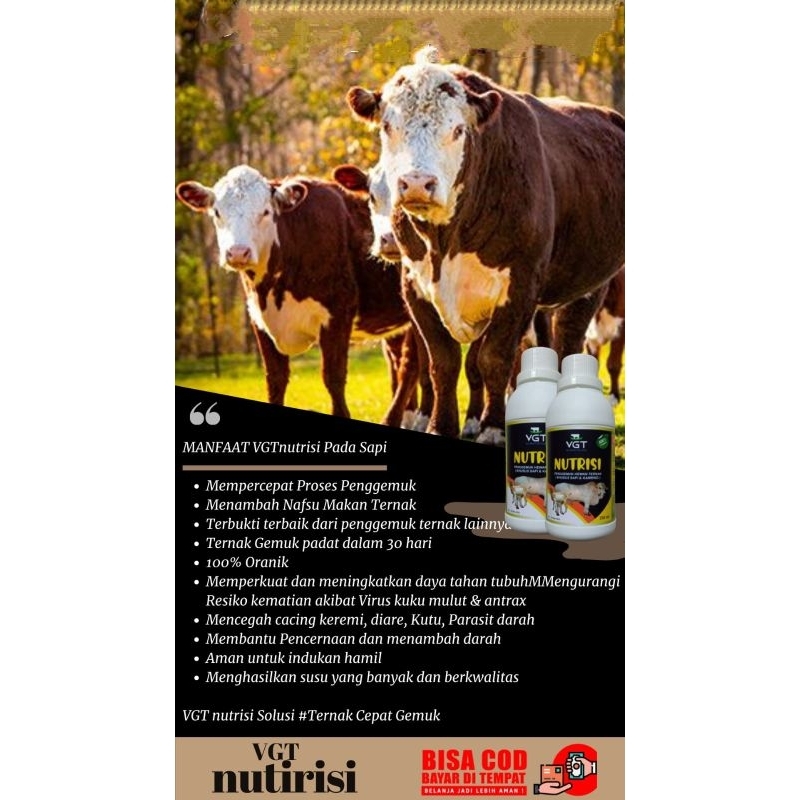 

24 botol VGT sapi/kambing vitamin sapi penambah nafsu makan