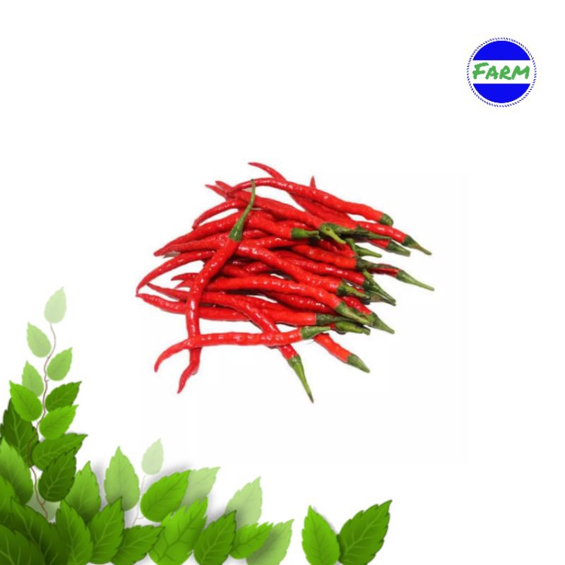 

Cabai Merah