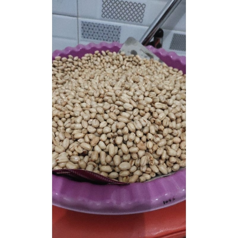 

Kacang Plecet