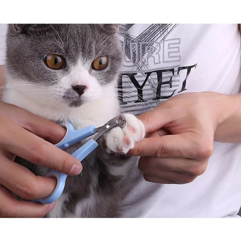 Gunting potong kuku kucing anjing cat dog potong kuku hewan