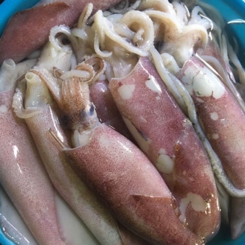 

CUMI BASAH FRESH