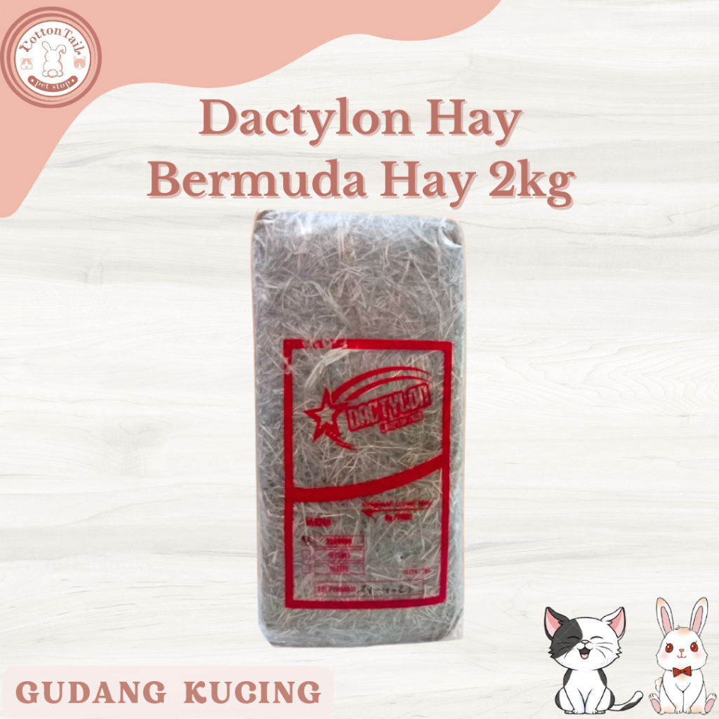 DACTYLON HAY / Rumput Kering Bermuda Pakan Kelinci & Cavy 2kg