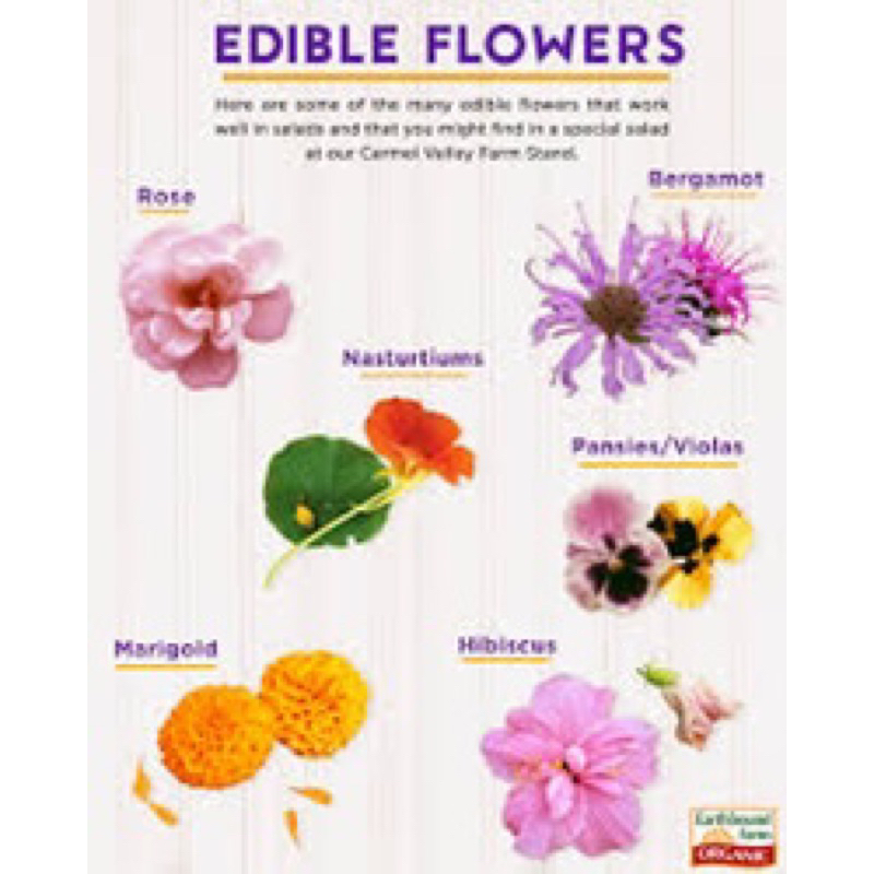 

Edible Flowers Bunga 5/7 macam custom