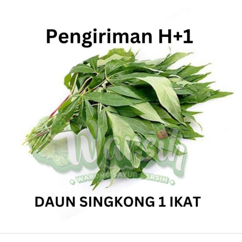 

WARSIH • DAUN SINGKONG 1 IKAT