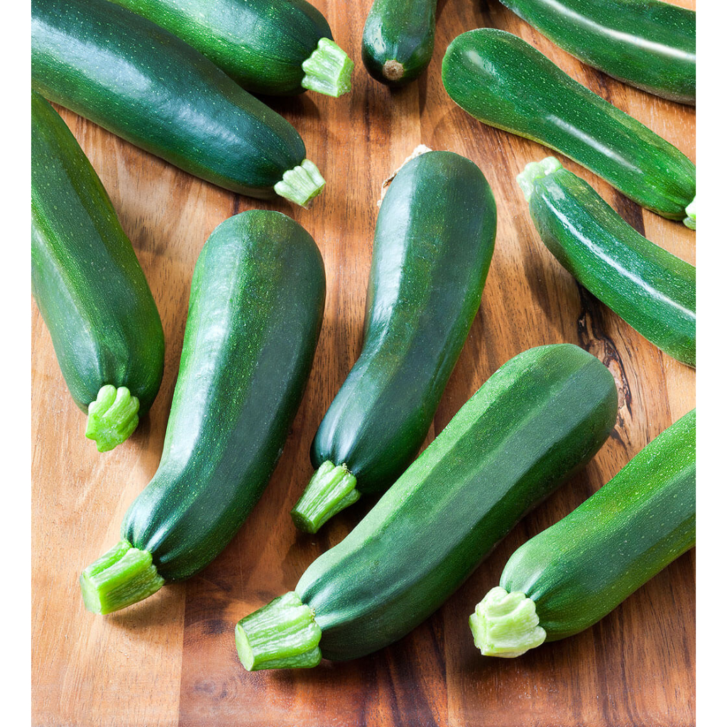 Benih Bibit Biji - Courgette Black Beauty Zucchini Zukini Seeds - IMPORT