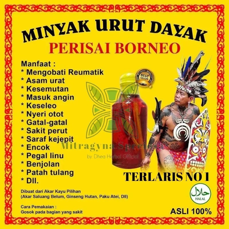 MINYAK DAYAK URUT BORNEO KALIMANTAN