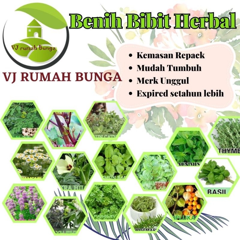 Benih Bibit Herbal Benih Herb Daun Mint Rosemery Thyme Oregano Parsley