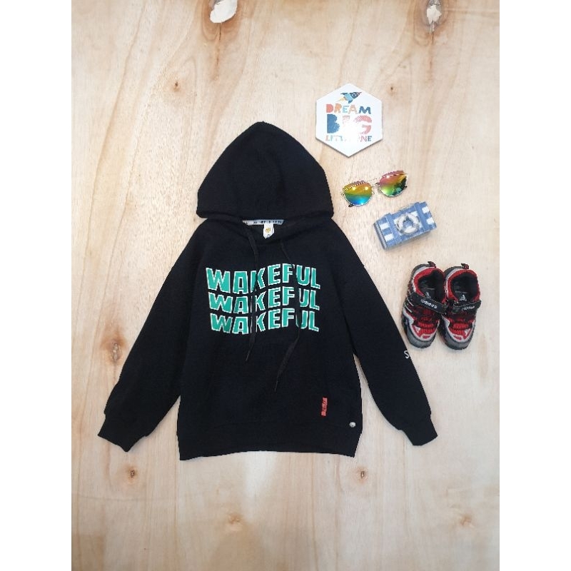 (21185) Hoodie anak cowok premium import