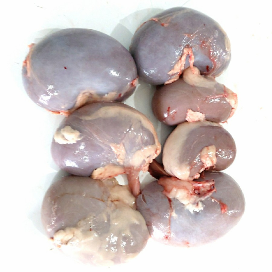

Ginjal Kambing Segar - 1/2kg - 1kg