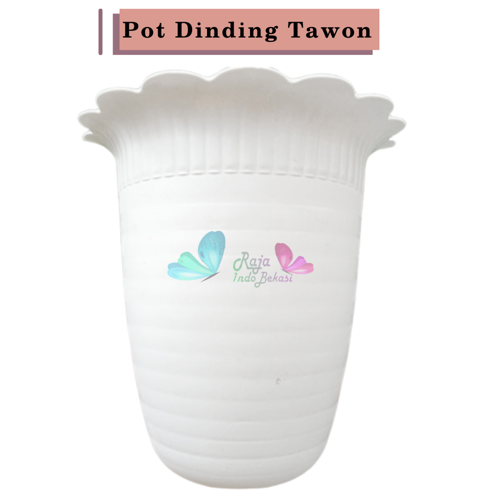 Pot Dinding Putih 15 Cm New Tawon Dinding Tempel 15CM Bibit Bunga Putih | Ombak Pot Dinding Kerang