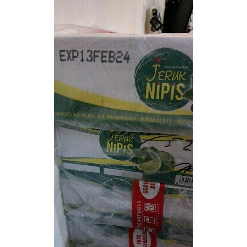 

jeruk nipis panorama