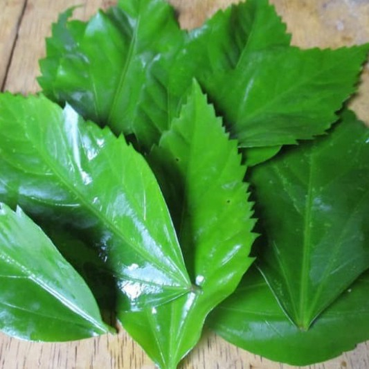 

DAUN bunga sepatru / WORA WARI BANG perlembar / 1 PCS