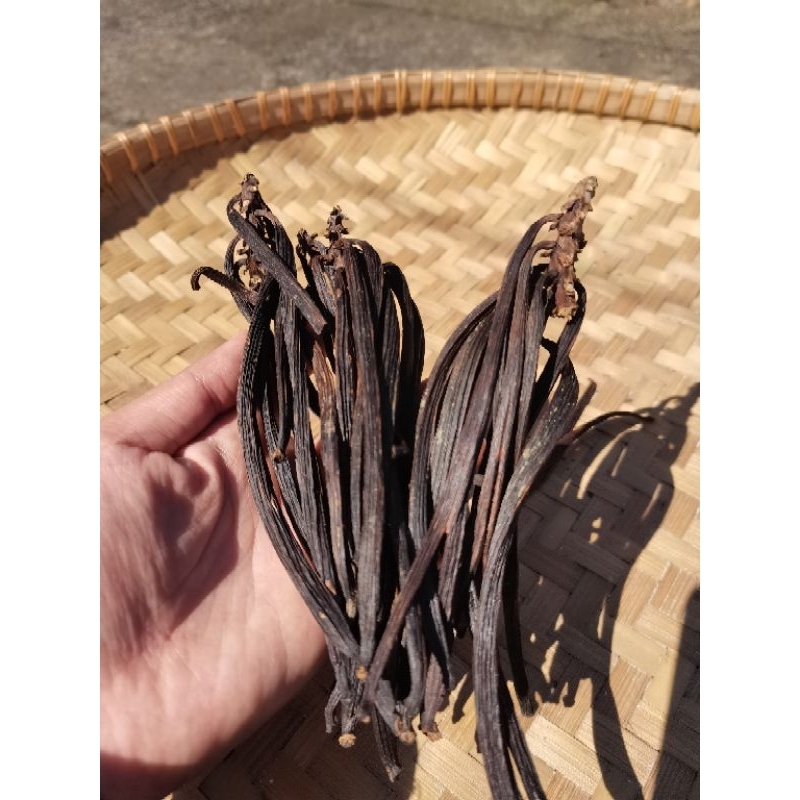 

Vanila Beans Asli dari petani lokal / 1 batang