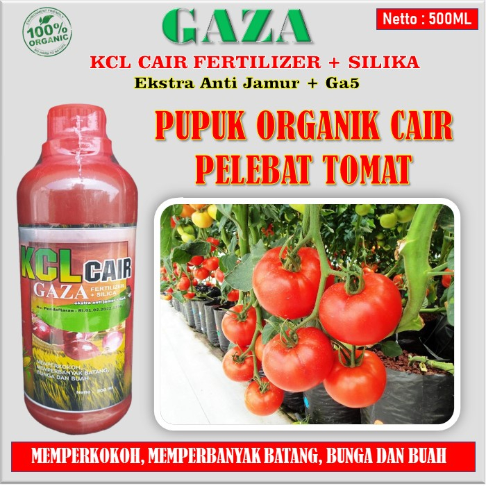 Pupuk GAZA KCL Cair Fertilizer + SILIKA 500 ML Pupuk Pelebat Tomat Sangat Ampuh - Pupuk GAZA KCL Cai