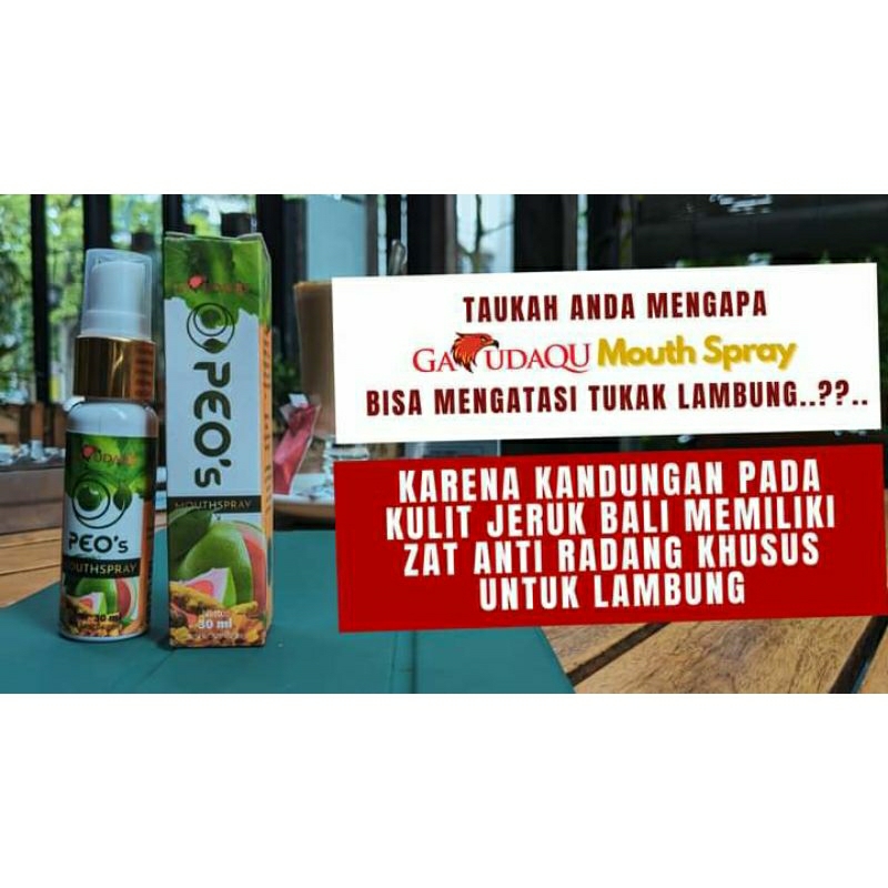 Ekstrak Kulit Jeruk Bali GL Garudaqu Mouth Spray 30 ml Aman POM RI