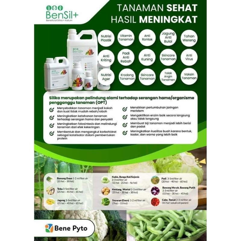 Hydro Silika Bensil+ (silika cair + kalium)