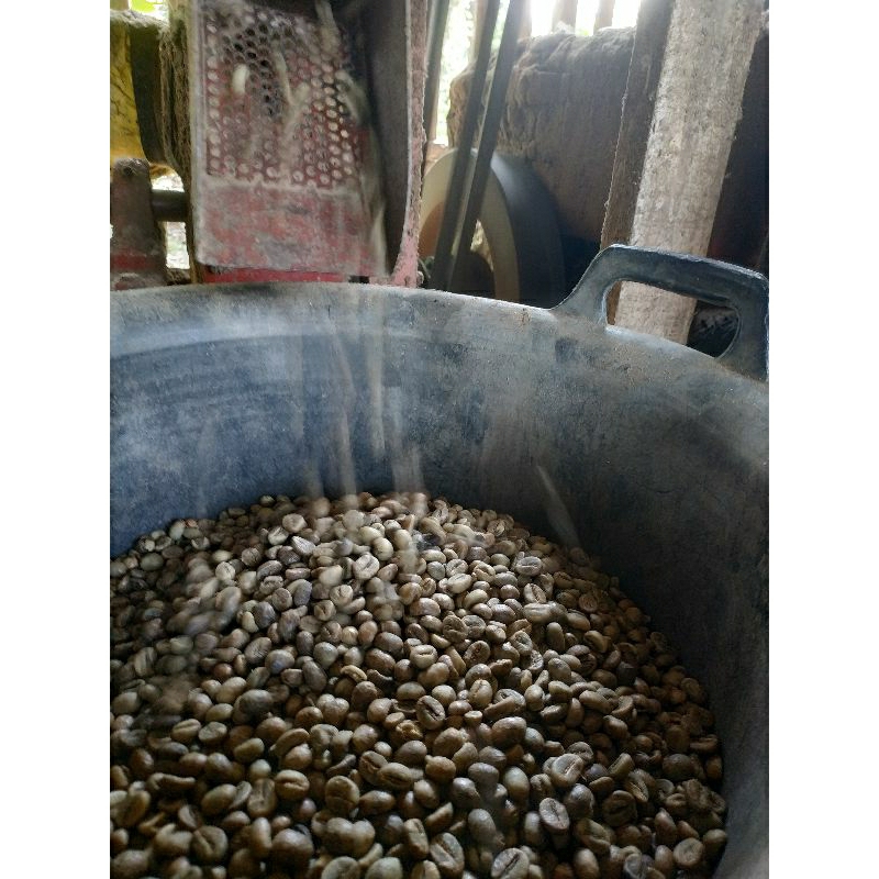 biji kopi robusta kering mentah 1 kg