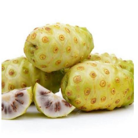 

buah mengkudu atau pace - LILA JAYA