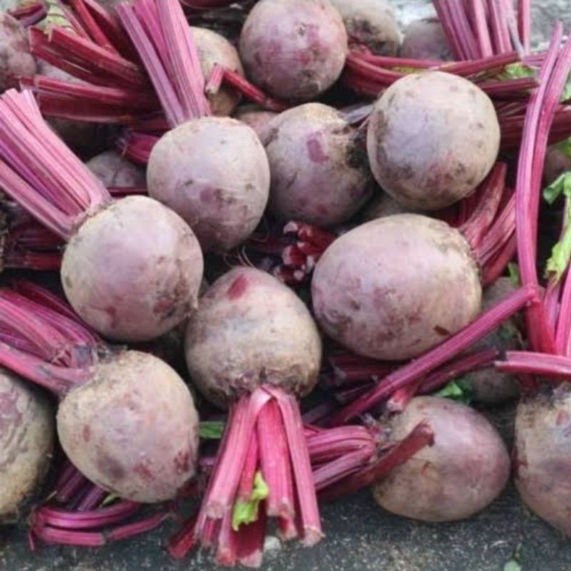 

[ArihErsada] Buah Bit Fresh 1 KG